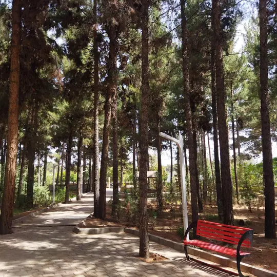 پارک جنگلی کومش - در سمنان کجاست